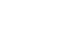 Insektenliebe Website Logo