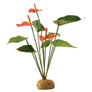 Exo-Terra-Flamingoblume-2.jpg