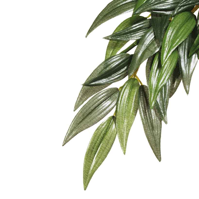 Exo-Terra-Ruscus-2.jpg