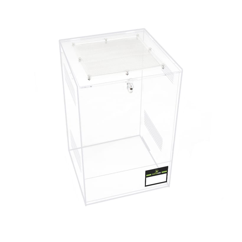 Repto-Terra-Clear-1-2.jpg