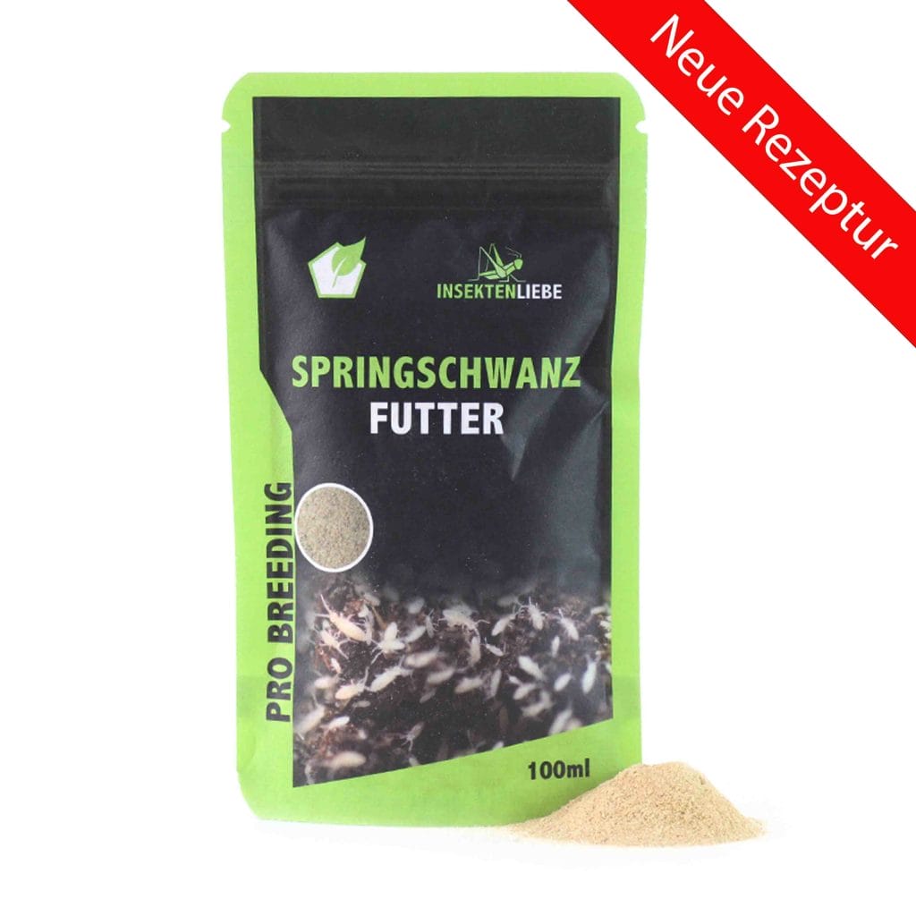 Springschwanz-Futter-3-scaled-3.jpg