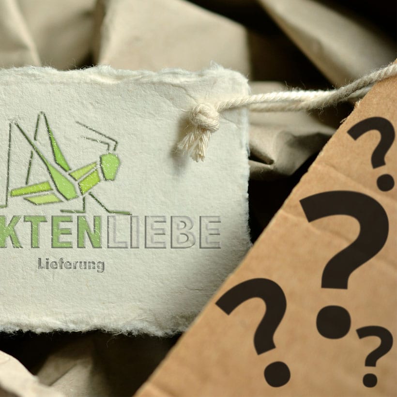 Ueberraschungsbox-2.jpg