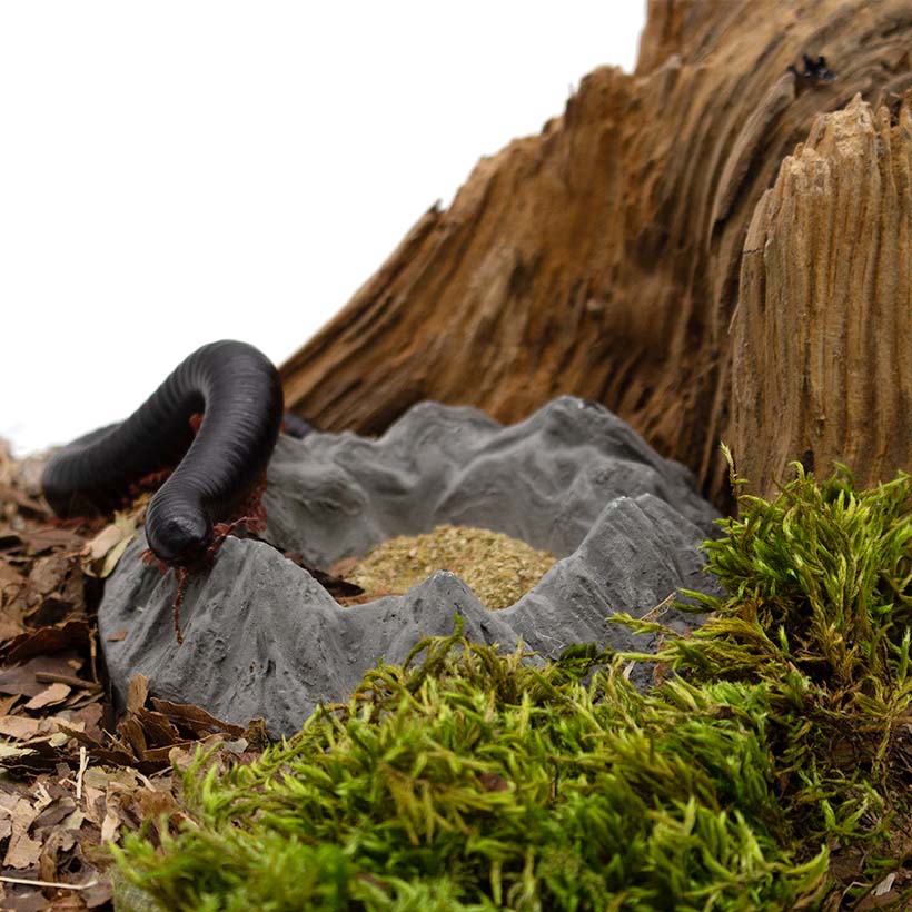 Insektenliebe Futterfels- Tausendfüßer