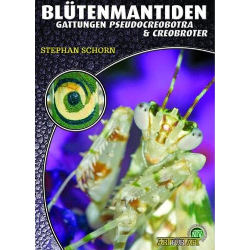 Art für Art Blütenmantiden