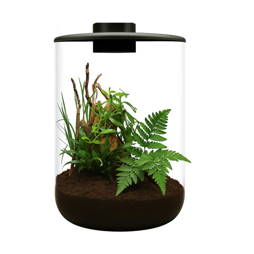 BioArt Cylinder 285