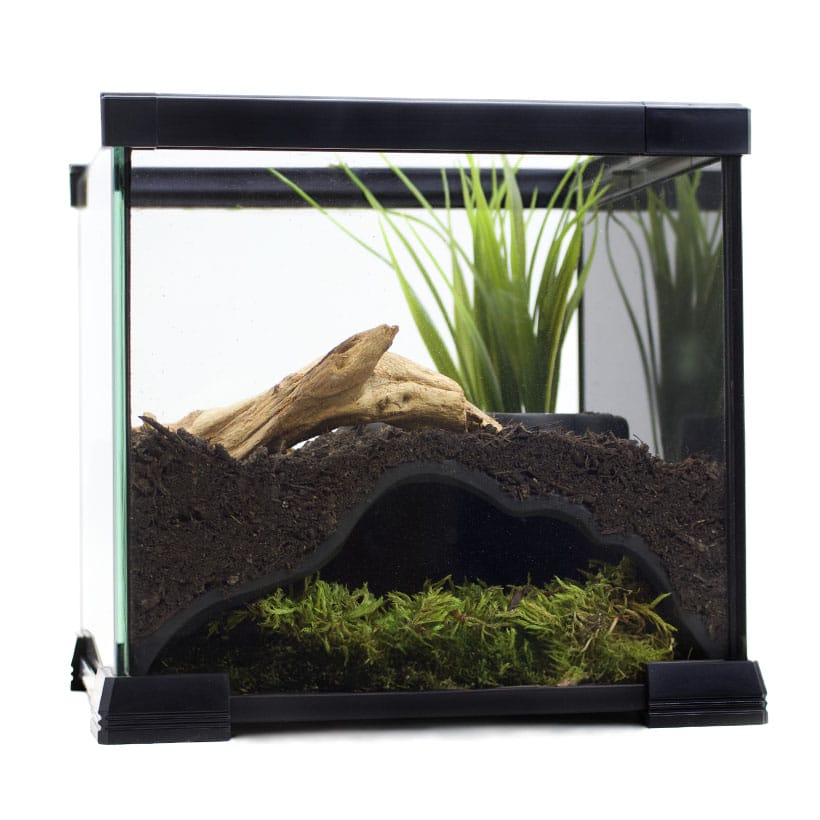 Terrarium Höhle-eingerichtet