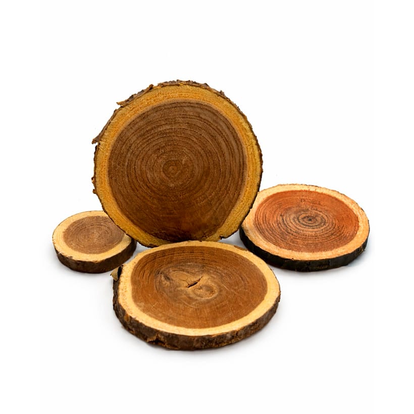 Holzscheiben